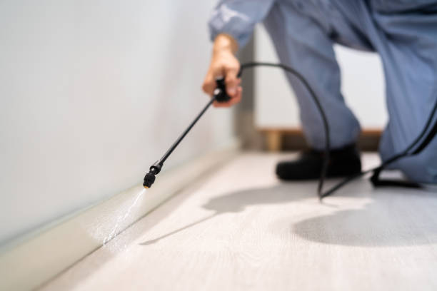 Licensed Termite Control service in Manchester, VA - Nex Pest Control