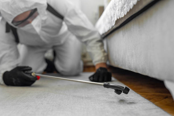 Professional Termite Control technician working in Manchester, VA