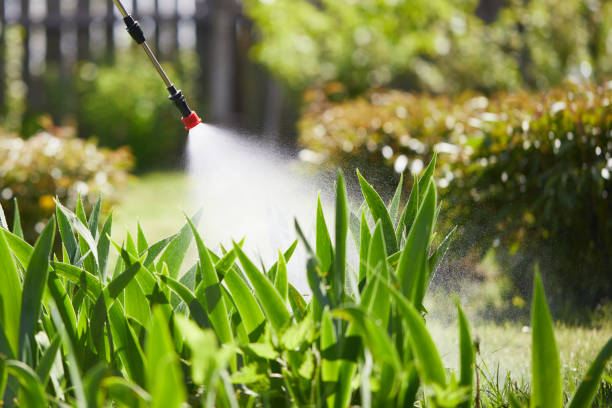24/7 Emergency Termite Control experts in Manchester, VA