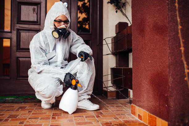 Reliable Termite Control contractor in Manchester, VA by Nex Pest Control
