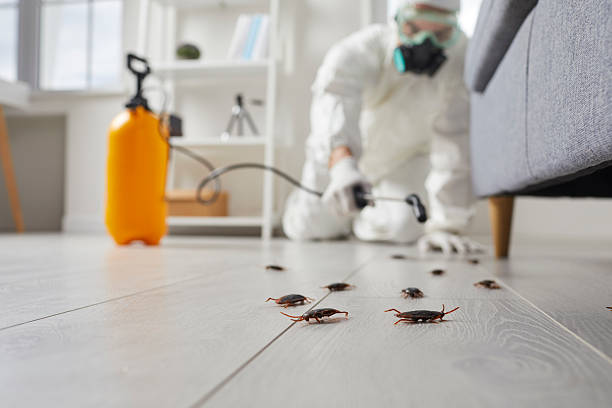 Affordable Termite Control solutions in Manchester, VA