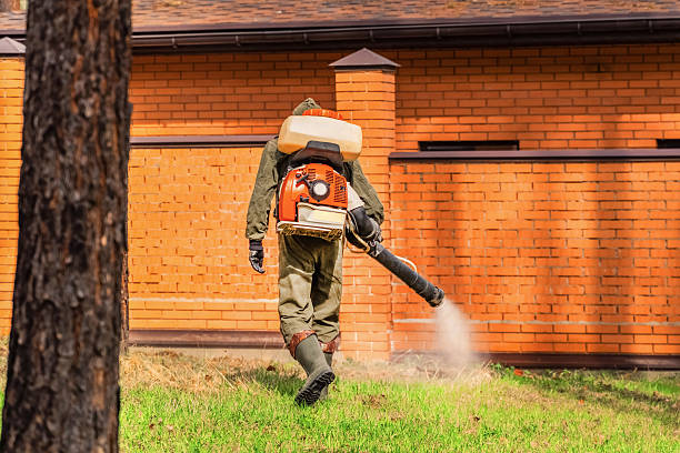 Top rated local Termite Control specialists in Manchester, VA